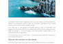 write SEO based travel articles